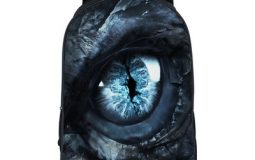 2021 Four Unique and Cool Anime Backpacks For Students